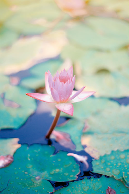 Come il decluttering aiuta l'ambiente